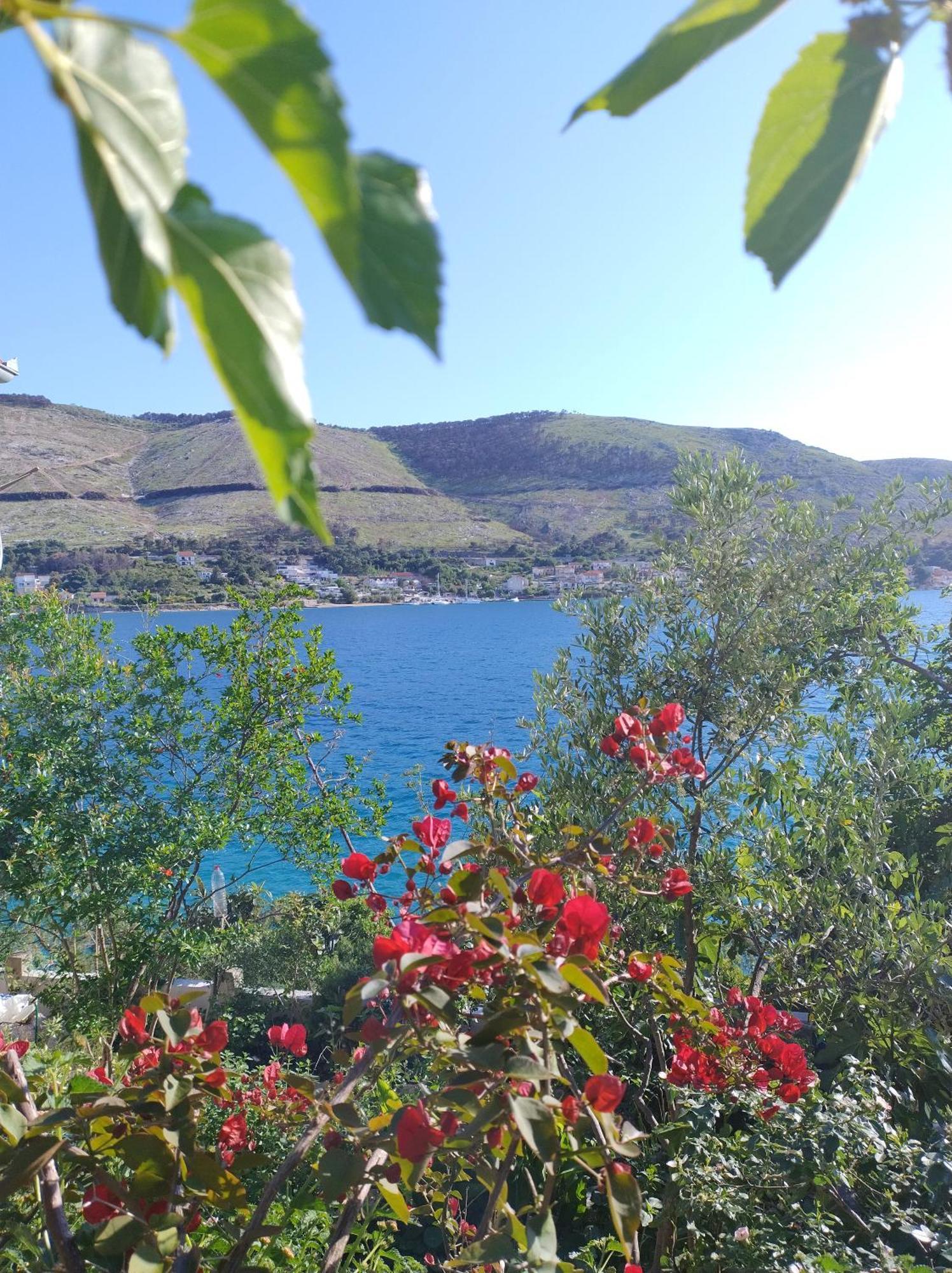 Direkt Na Moru - Bungalov Lägenhet Šibenik Exteriör bild
